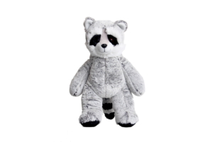 2520-Racoon-300x200-1