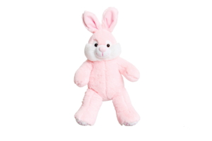 2527-Pink-Rabbit-300x200