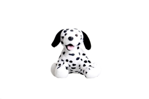 2534_Dalmatian-300x200